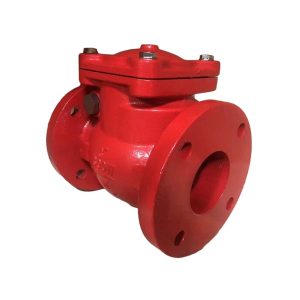 Non-Return Valve