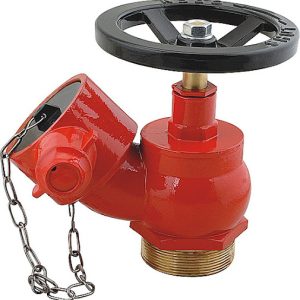 Landing Valve